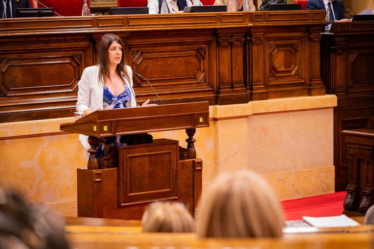Junts impulsa una proposta per garantir la continuïtat assistencial i neurorehabilitació a les Terres de l'Ebre