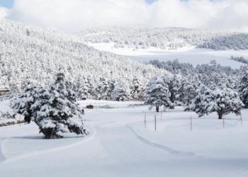 Comentari de au a Què fer a Andorra amb nens? Cinc plans que són una aposta segura