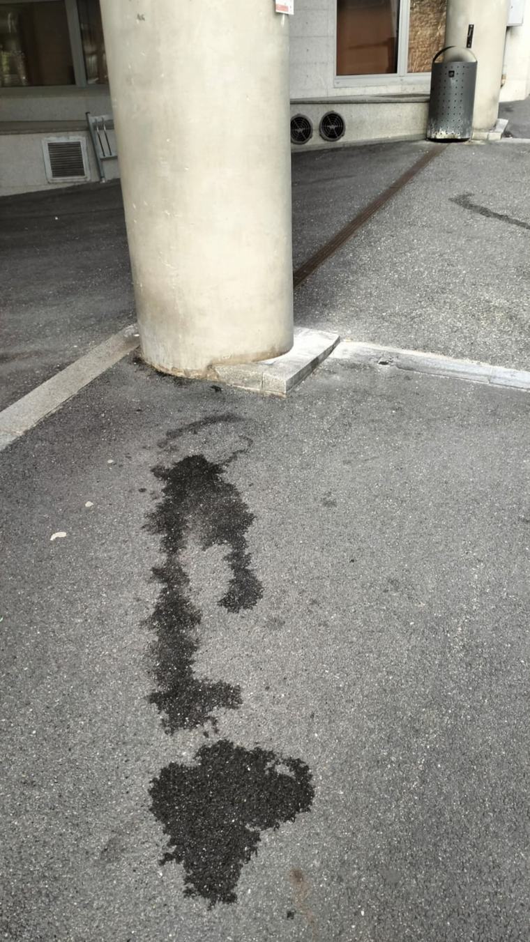 Els pixats de gos tornen a encendre els veïns del Pedral
